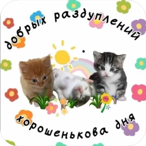 Эмодзи котятки
