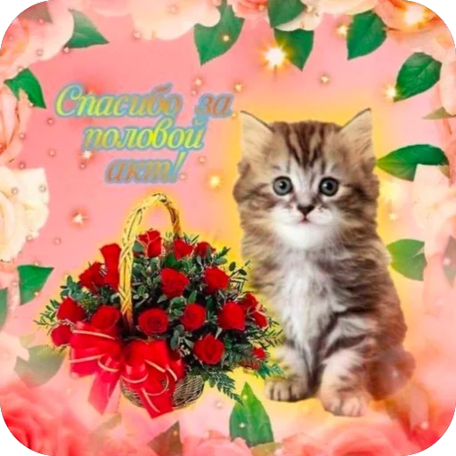 Эмодзи котятки