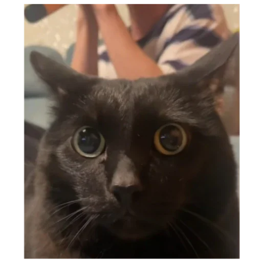 Эмодзи кофеин