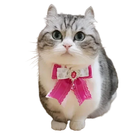 Эмодзи Komaru