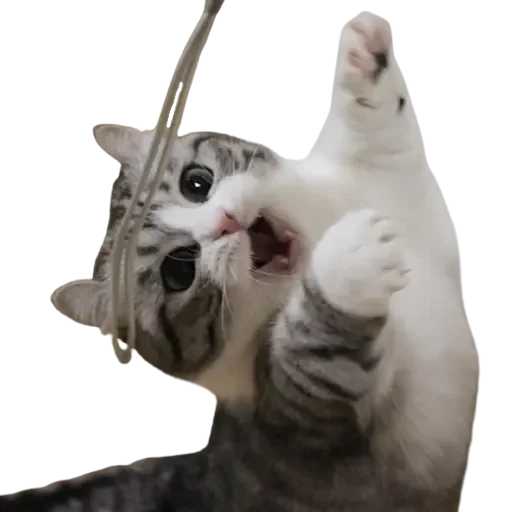 Эмодзи Komaru