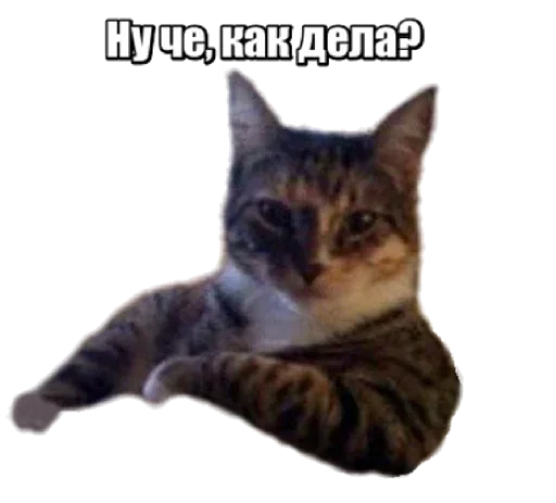 Эмодзи Cats