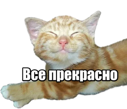Эмодзи Cats
