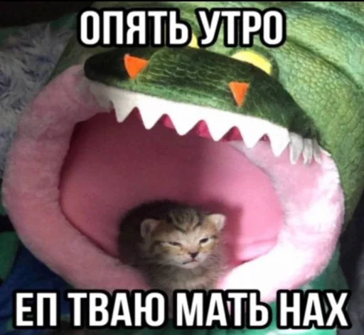 Эмодзи Злые котики
