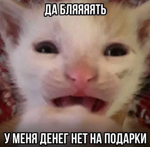 Эмодзи Злые котики