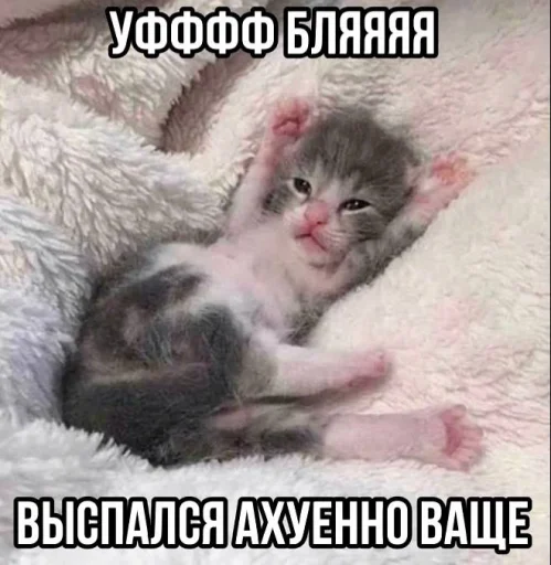 Эмодзи Злые котики