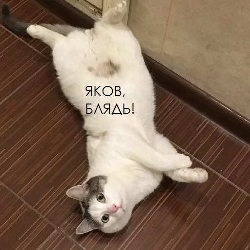 ?