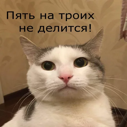 Эмодзи Meow