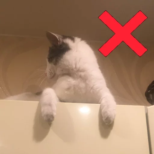Эмодзи Meow