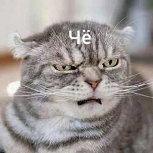 Эмодзи Котыки