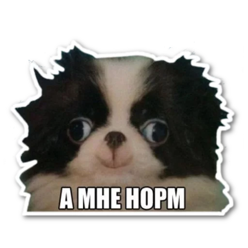 Эмодзи котэпак