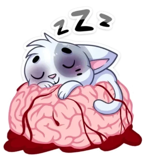 💤