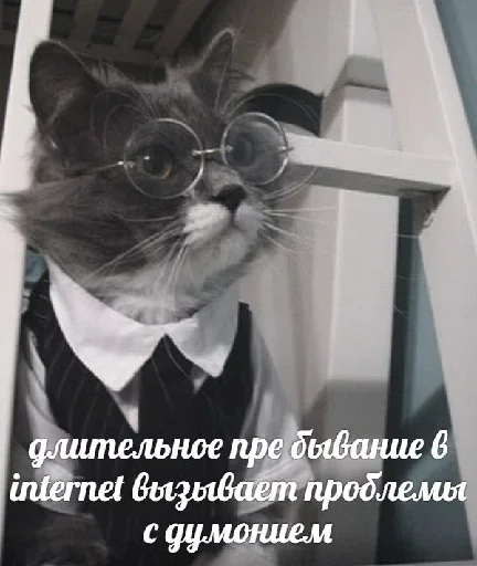 Эмодзи Котейчество