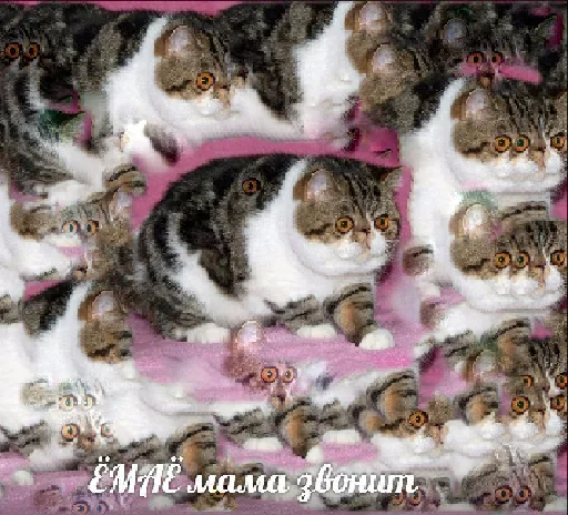 Эмодзи Котейчество