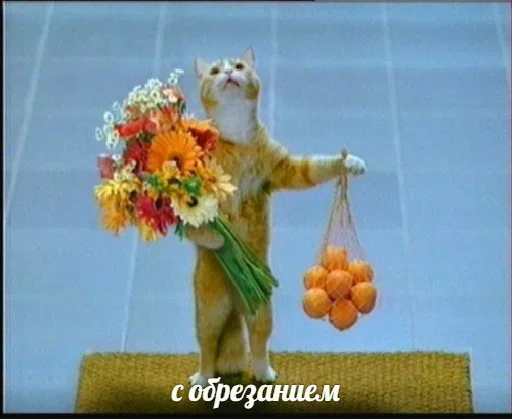 Эмодзи Котейчество