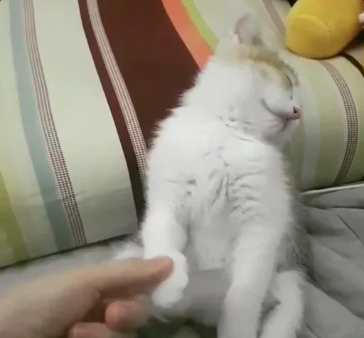 Эмодзи Kittens