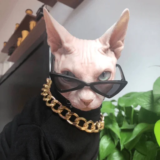 Эмодзи котики х2