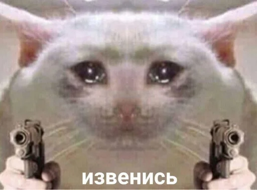 Эмодзи котики