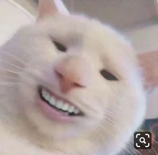 Эмодзи котики