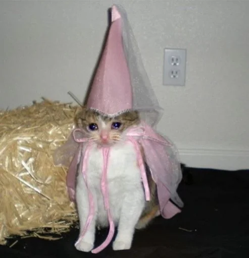 Эмодзи котики