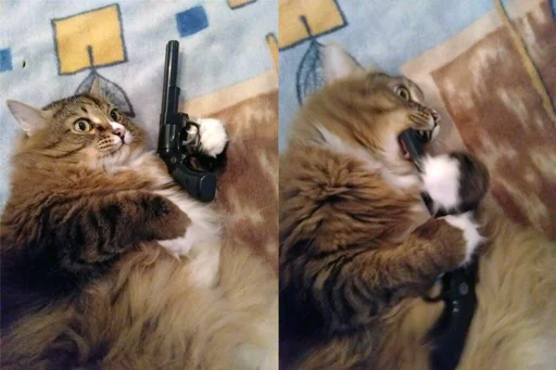 Эмодзи котики