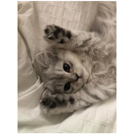 🥰