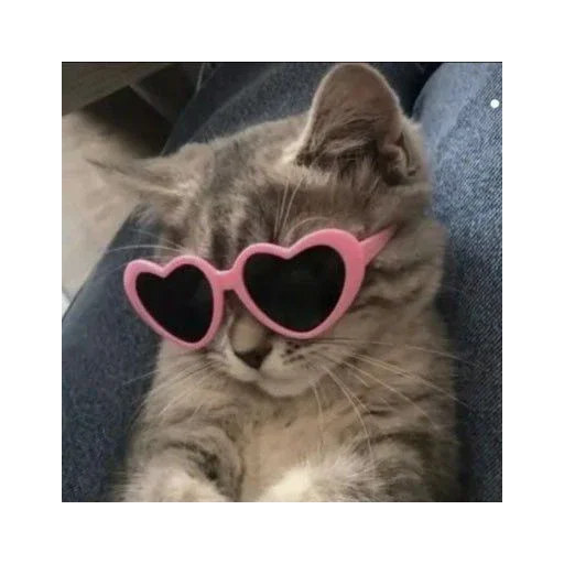Эмодзи котики