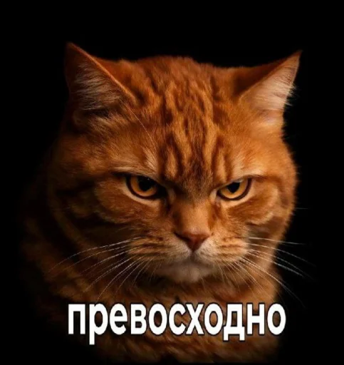 Эмодзи Котики