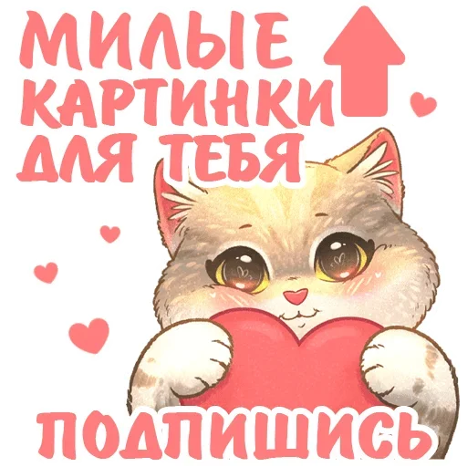 👆