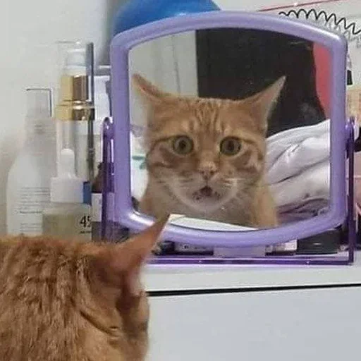 Эмодзи Котики