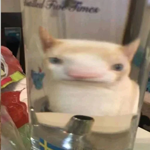 Эмодзи Котики