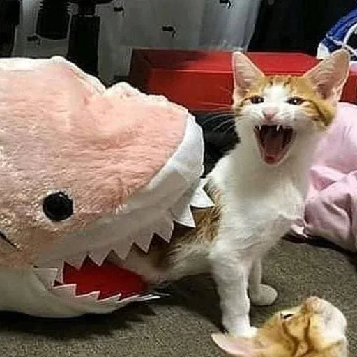 Эмодзи Котики