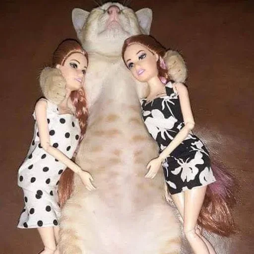 Эмодзи Котики