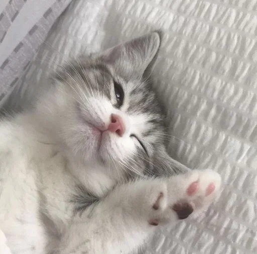 Эмодзи kotikibest