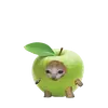 🍏