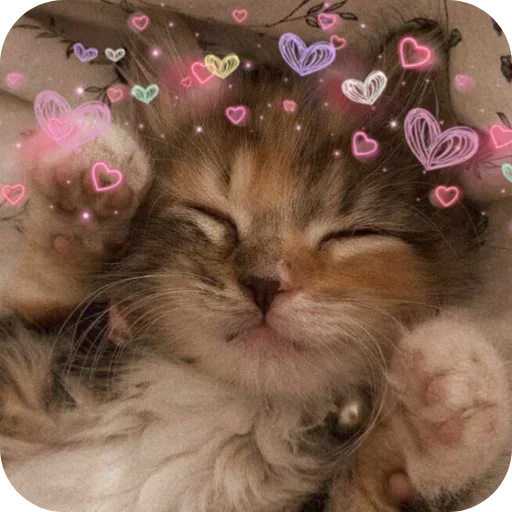 Эмодзи коты