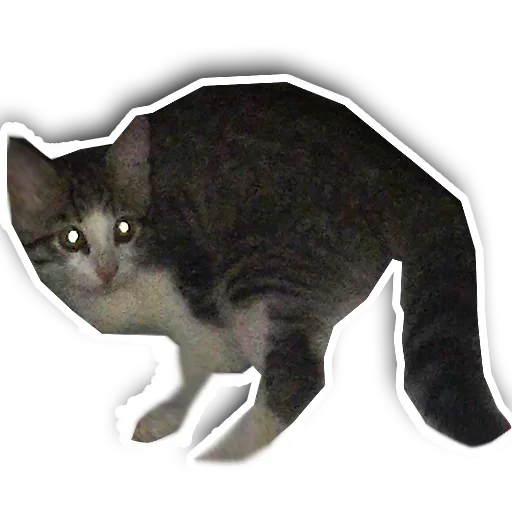 Эмодзи Котики