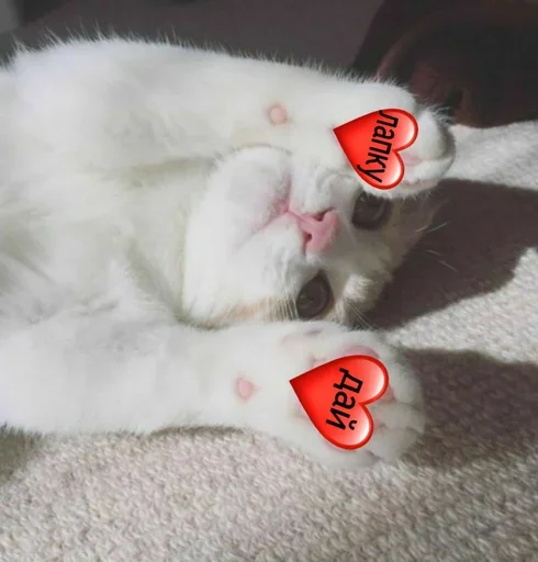 😜