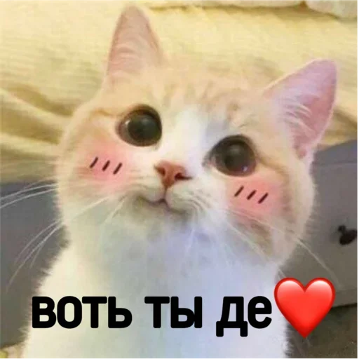 Эмодзи Котики