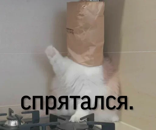 Эмодзи Котики
