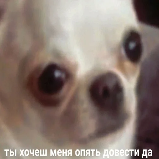 Эмодзи Жизень
