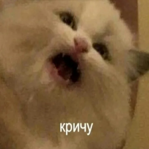 Эмодзи Жизень