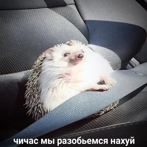 Эмодзи Жизень