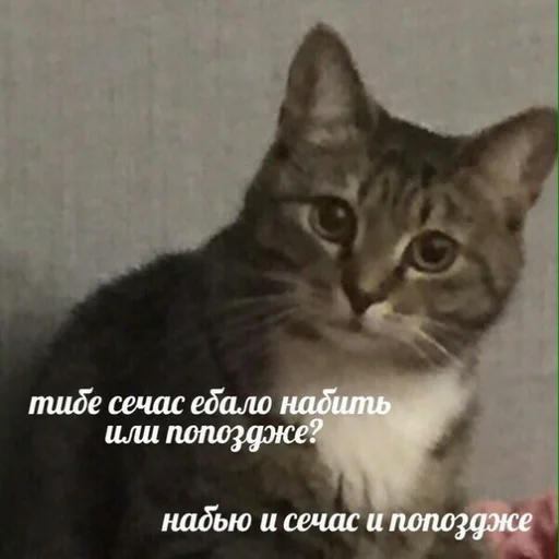Эмодзи Жизень