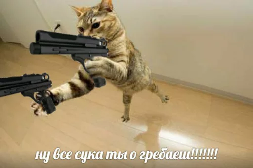 Эмодзи memy pró kotov (po rzhatí)