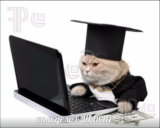 Эмодзи memy pró kotov (po rzhatí)