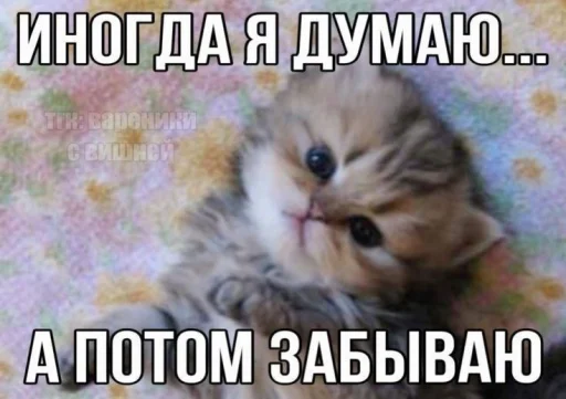 Эмодзи Котятки