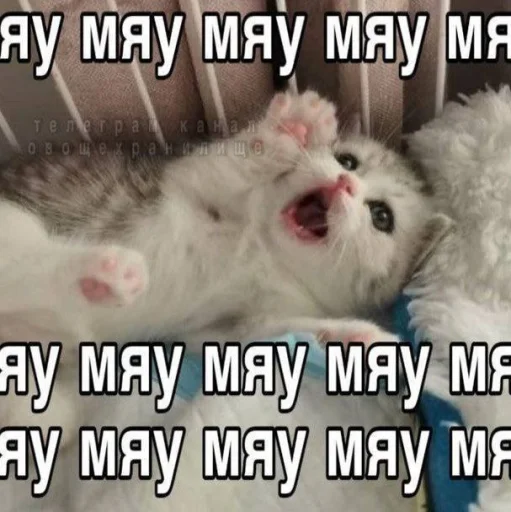 Эмодзи Котятки