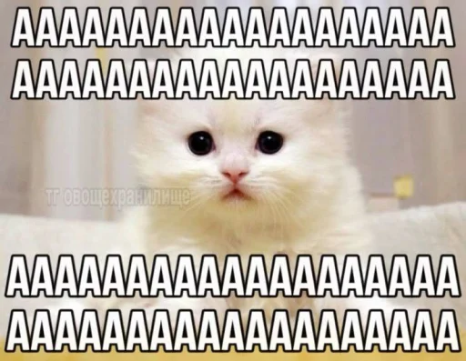 Эмодзи Котятки