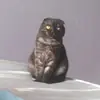 Эмодзи Kott_ssbornik